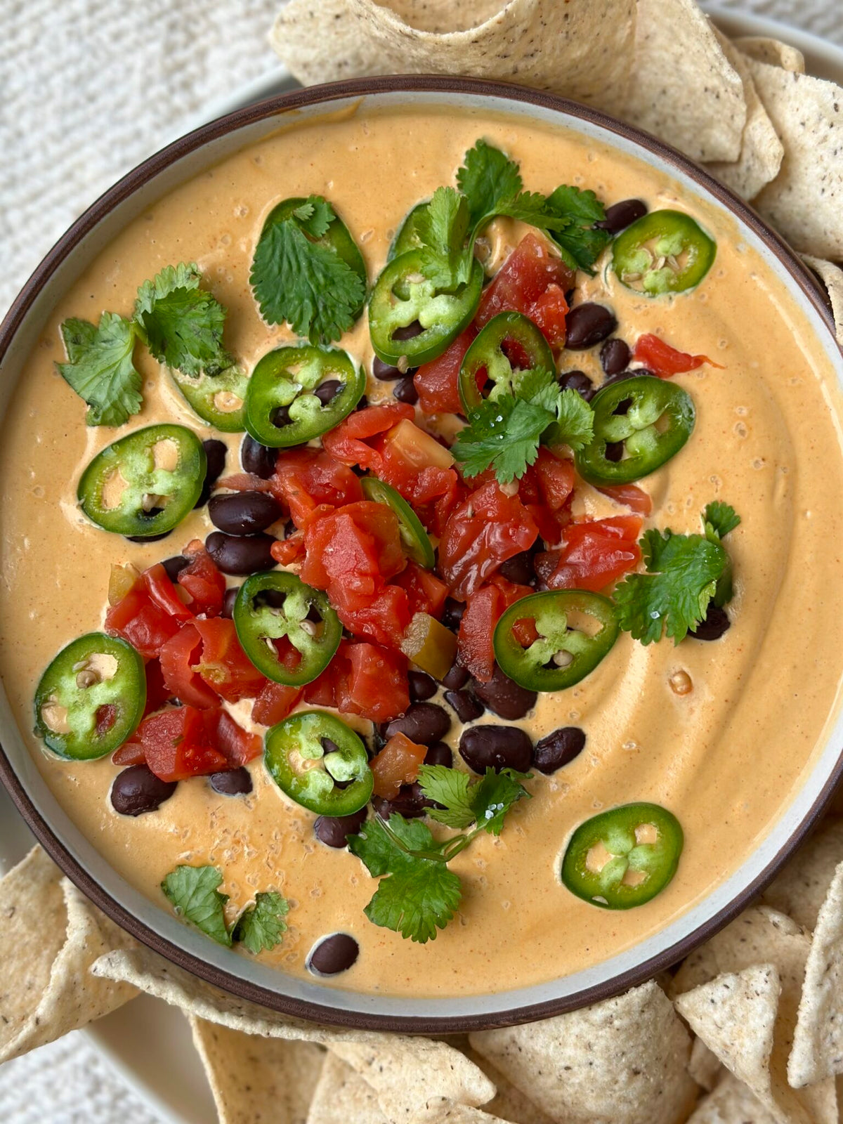 Loaded Queso Dip